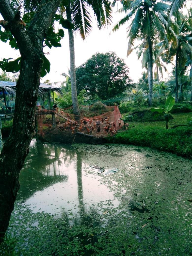 Thomman'S Farm Stay Kottayam Exteriör bild