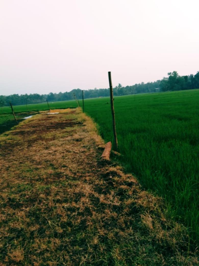 Thomman'S Farm Stay Kottayam Exteriör bild